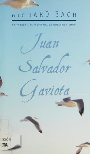 Juan Salvador Gaviota