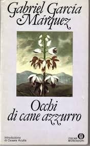 Occhi di cane azzurro