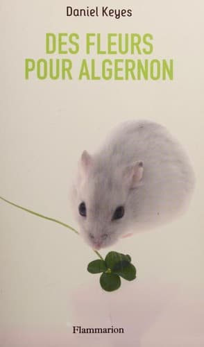 Des fleurs pour Algernon