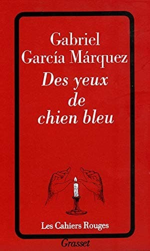 Des yeux de chien bleu