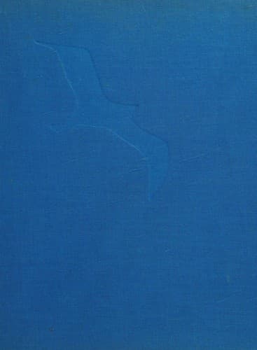 Jonathan Livingston Seagul